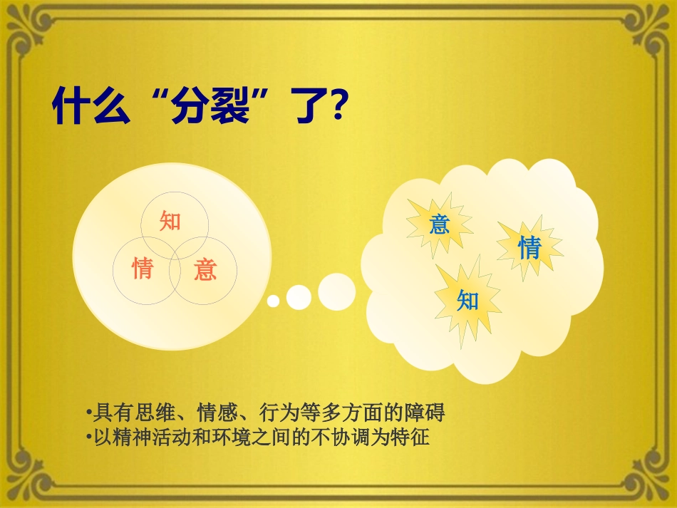 精神分裂症及其他妄想性障碍_第2页