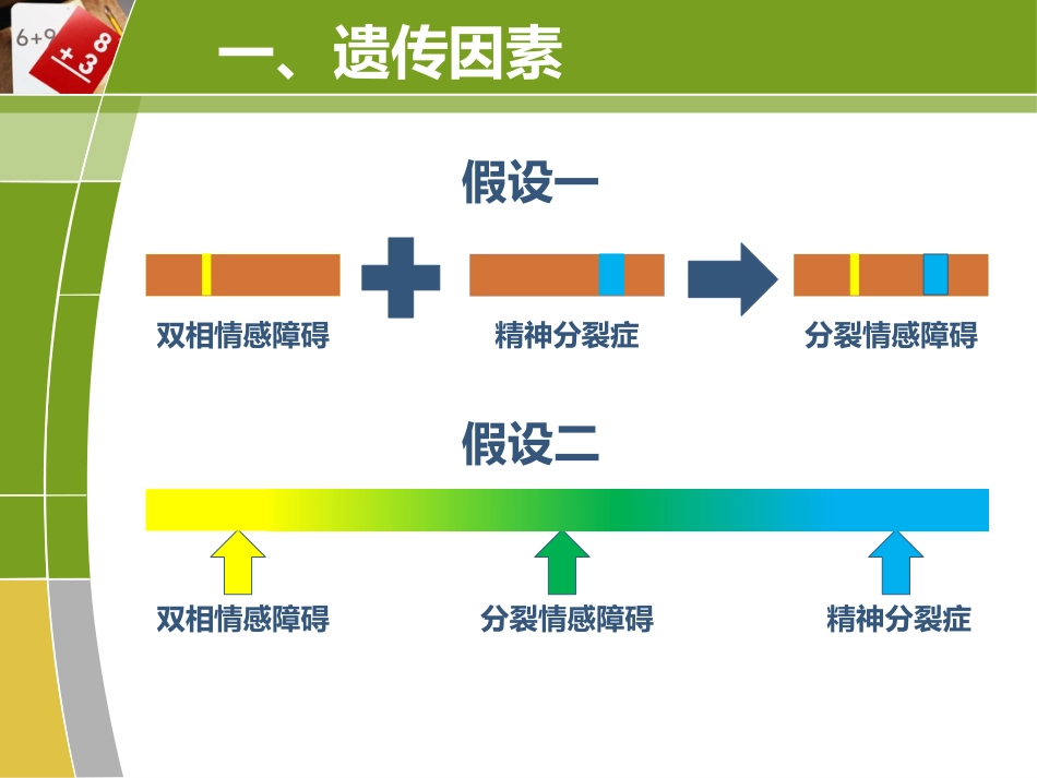 分裂情感障碍(end)_第10页