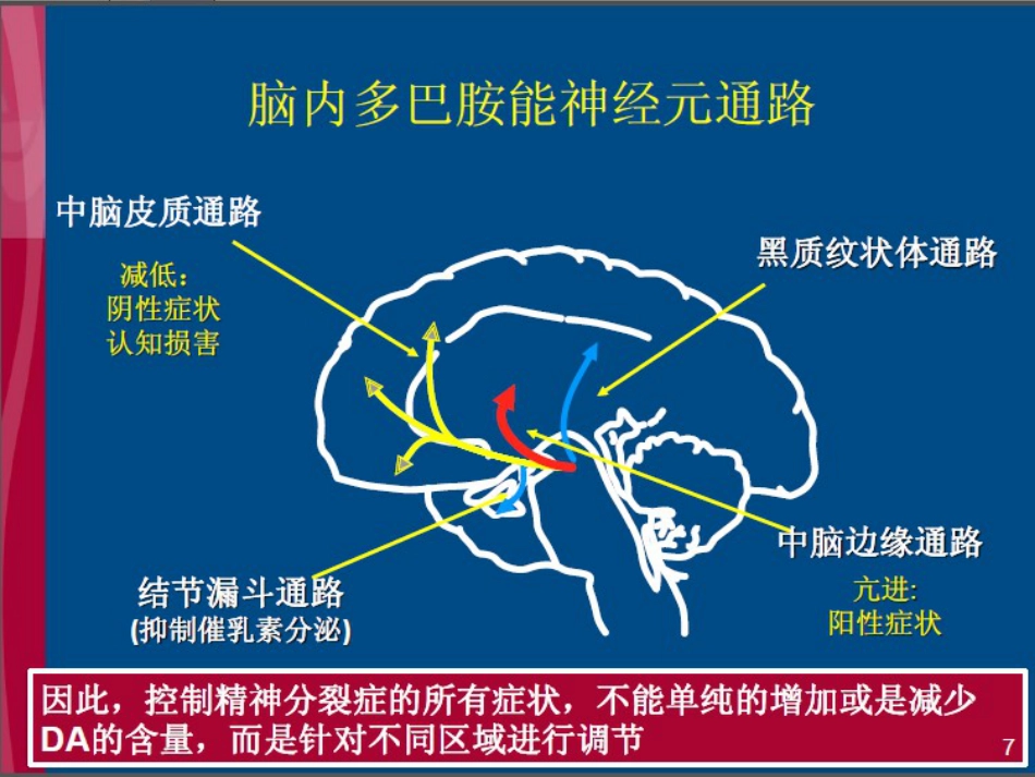 精神分裂症超越多巴胺_第7页