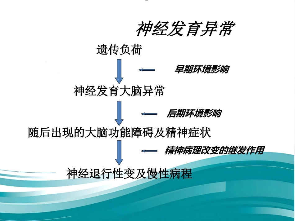 精神分裂症及诊疗_第11页