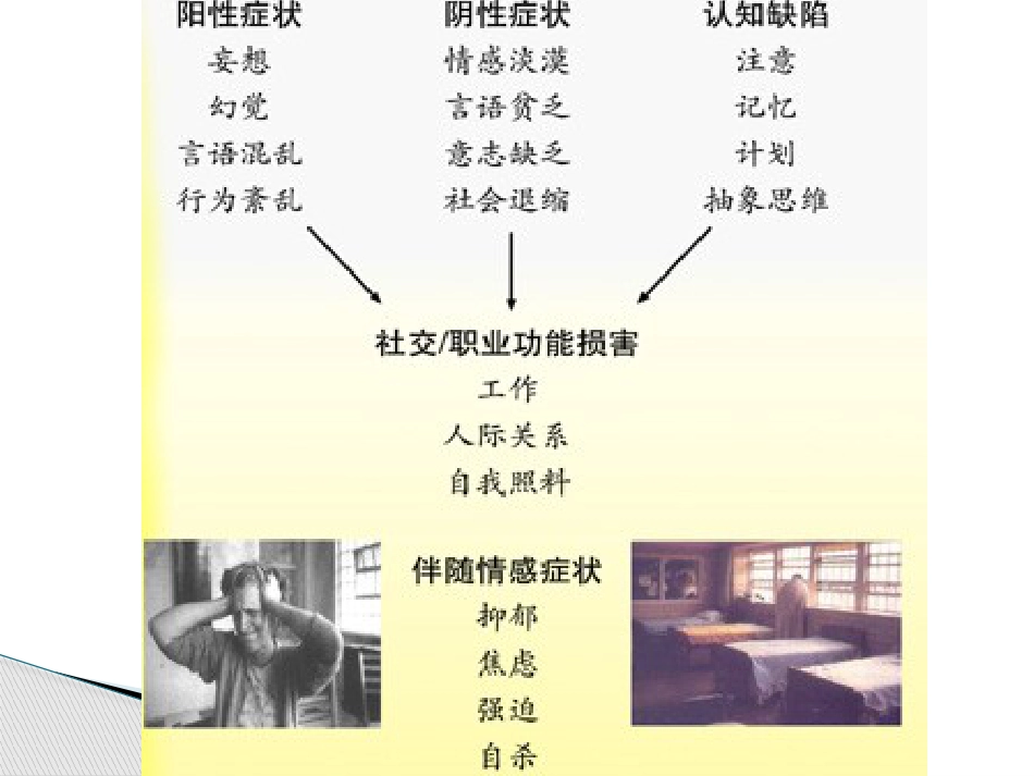 精神分裂症诊断及治疗_第9页