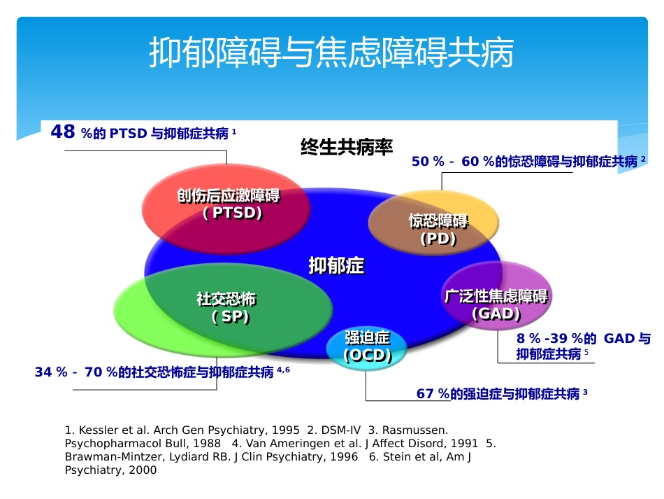 焦虑症及药物治疗_第12页