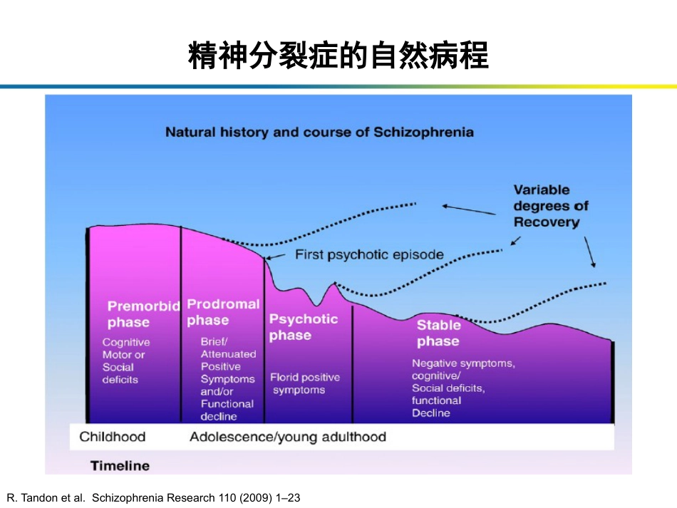 精神分裂症在DSM诊断标准中的论述_第3页