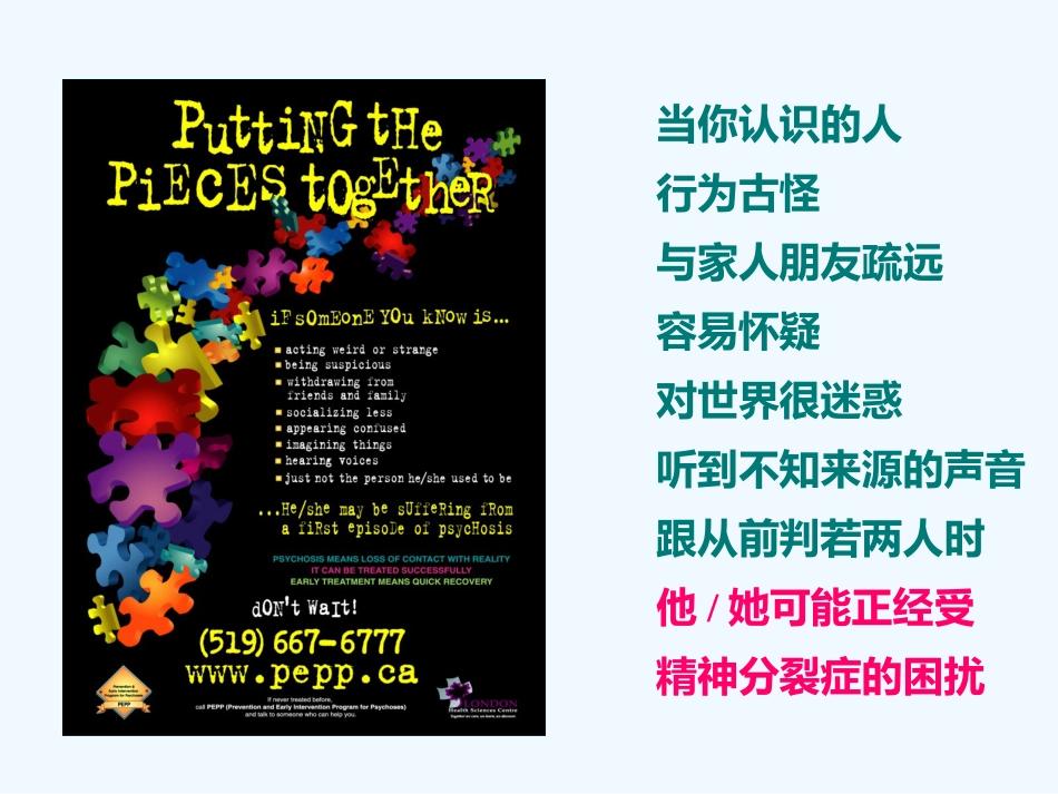 精神分裂症 PPT_第2页