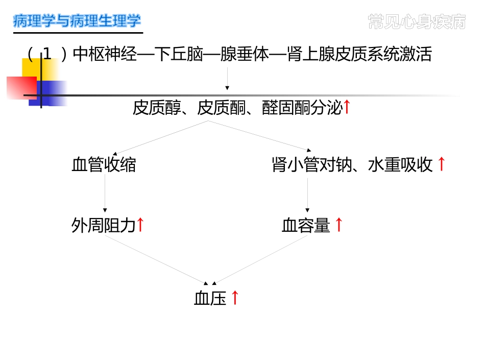 常见心身疾病_第11页