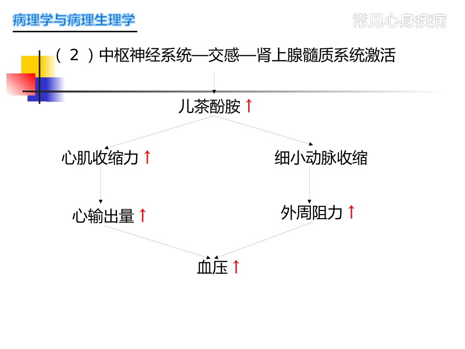 常见心身疾病_第12页