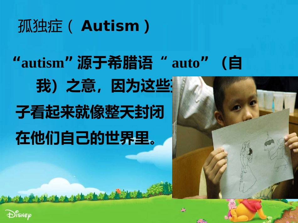 儿童自闭症ppt课件_第2页
