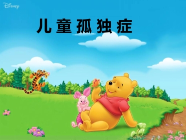 儿童自闭症ppt课件