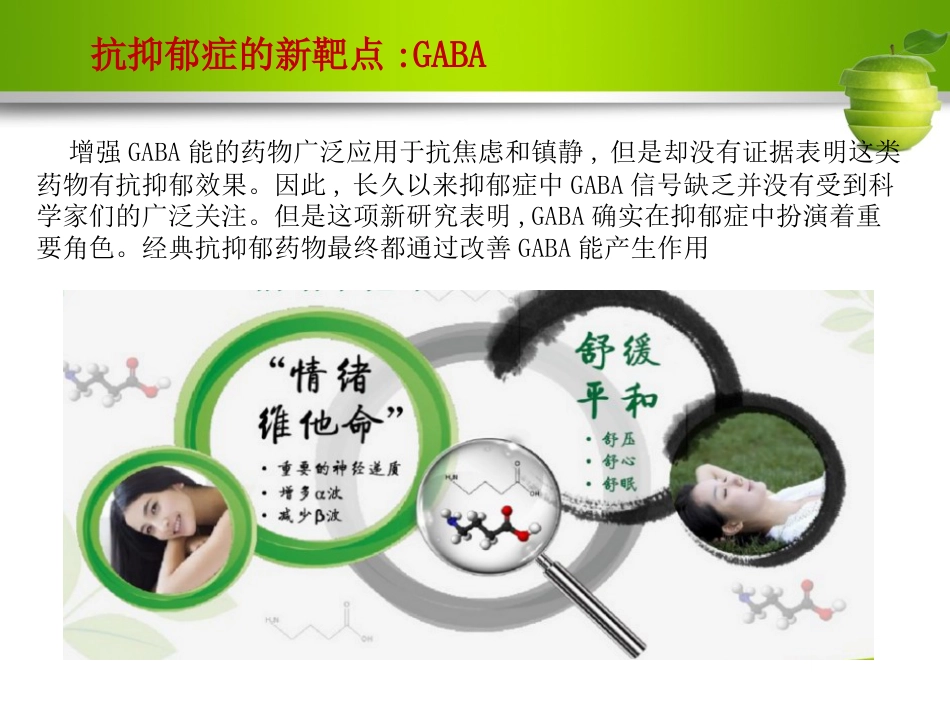 γ-氨基丁酸与抑郁症ppt课件_第10页