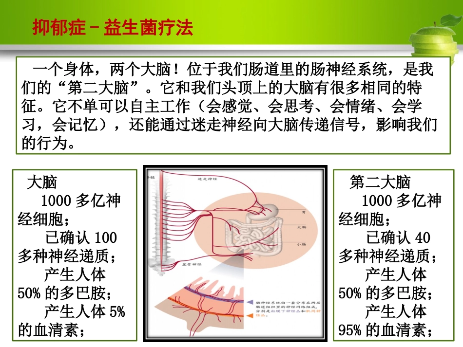 γ-氨基丁酸与抑郁症ppt课件_第13页