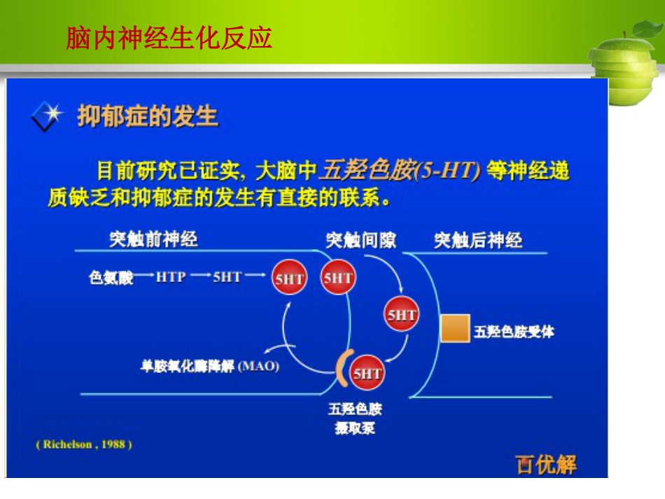 γ-氨基丁酸与抑郁症ppt课件_第6页