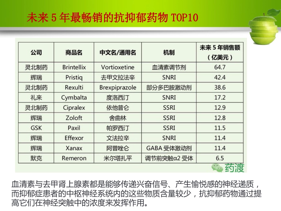 γ-氨基丁酸与抑郁症ppt课件_第7页