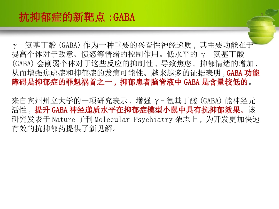 γ-氨基丁酸与抑郁症ppt课件_第9页