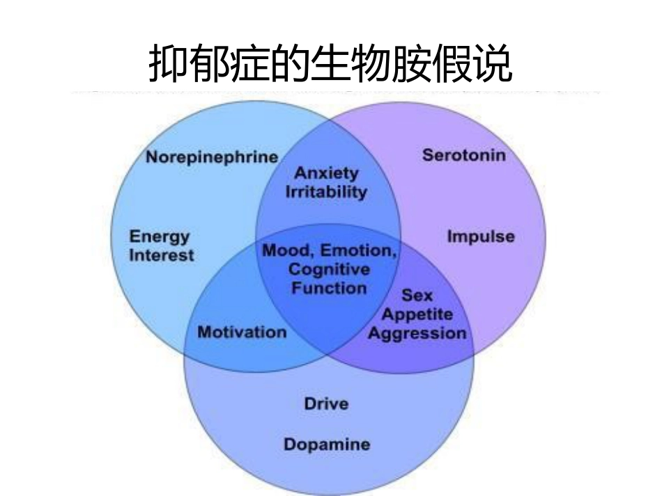 从精神科角度看老年期抑郁的特点_第13页