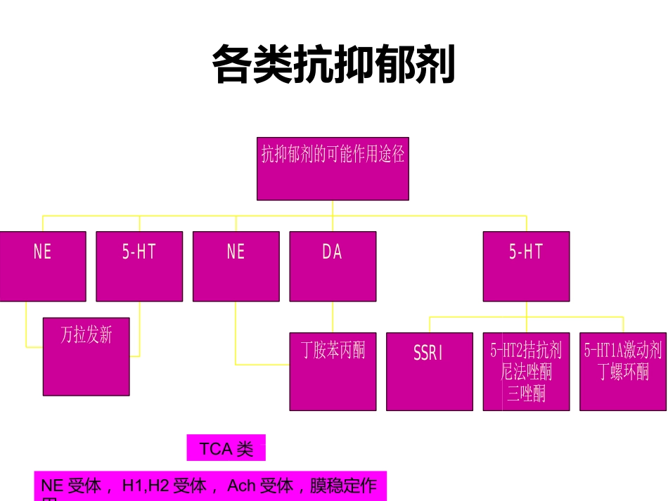 从精神科角度看老年期抑郁的特点_第14页