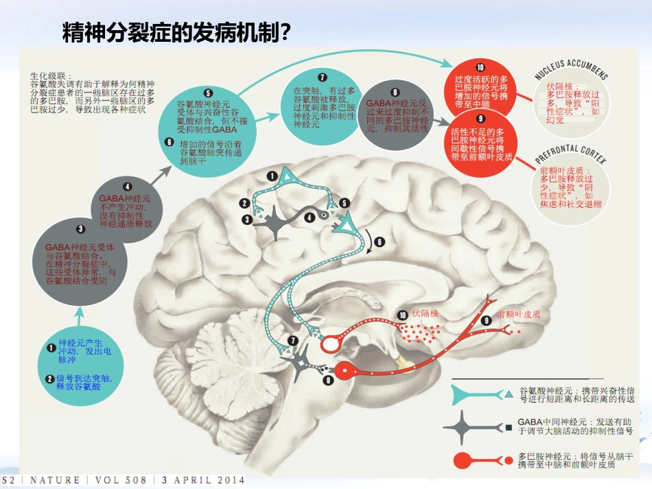 精神分裂症诊疗新进展_第11页