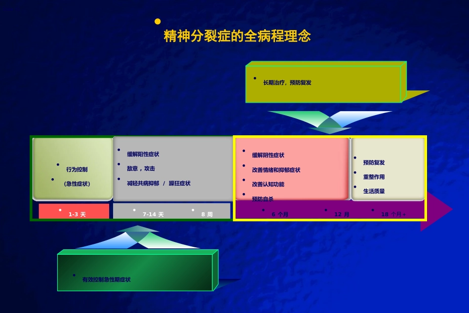 精神分裂症全病程治疗_第13页