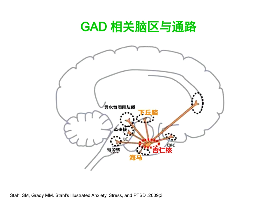 广泛性焦虑症的规范治疗_第11页