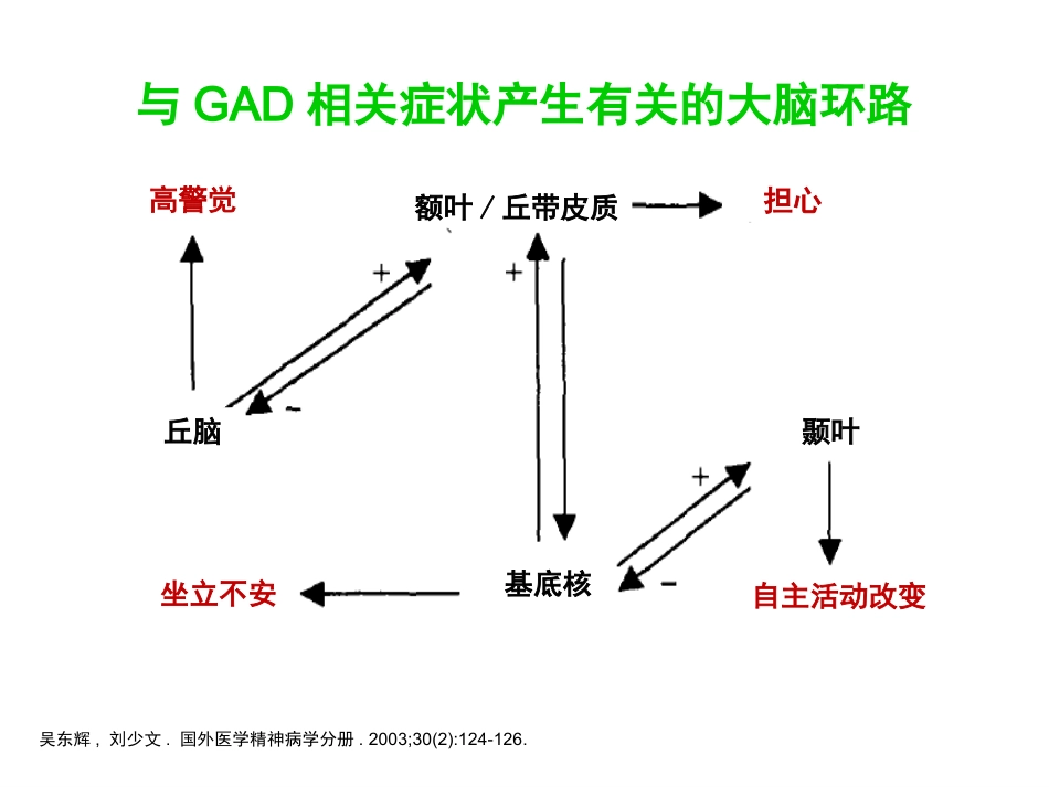 广泛性焦虑症的规范治疗_第12页