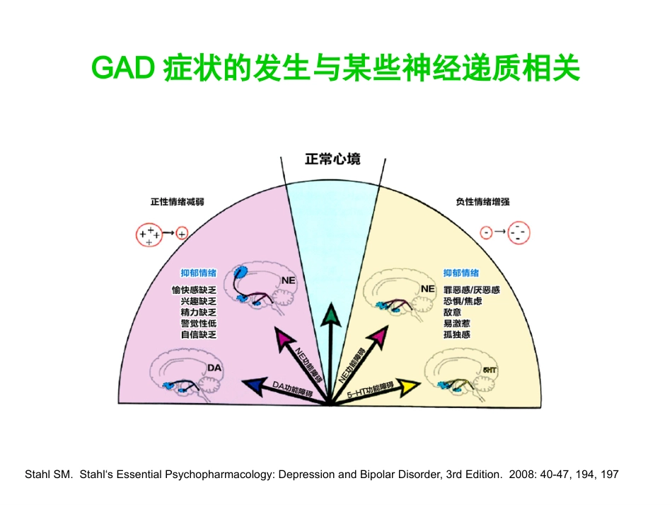 广泛性焦虑症的规范治疗_第13页