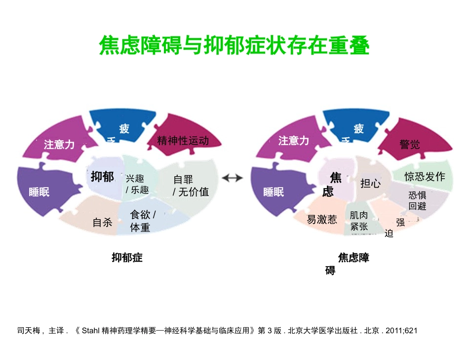广泛性焦虑症的规范治疗_第6页