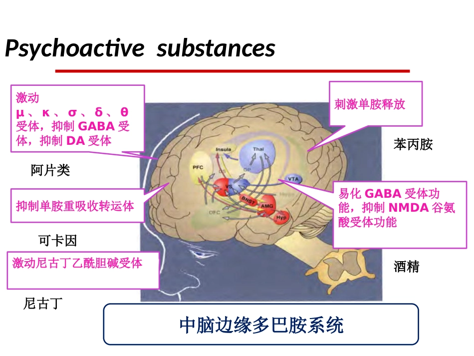 精神病学物质相关及成瘾障碍_第8页