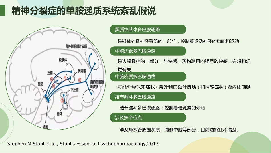 从精神分裂症的角度解读抗精神病药物_第4页