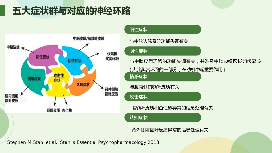 从精神分裂症的角度解读抗精神病药物_第5页