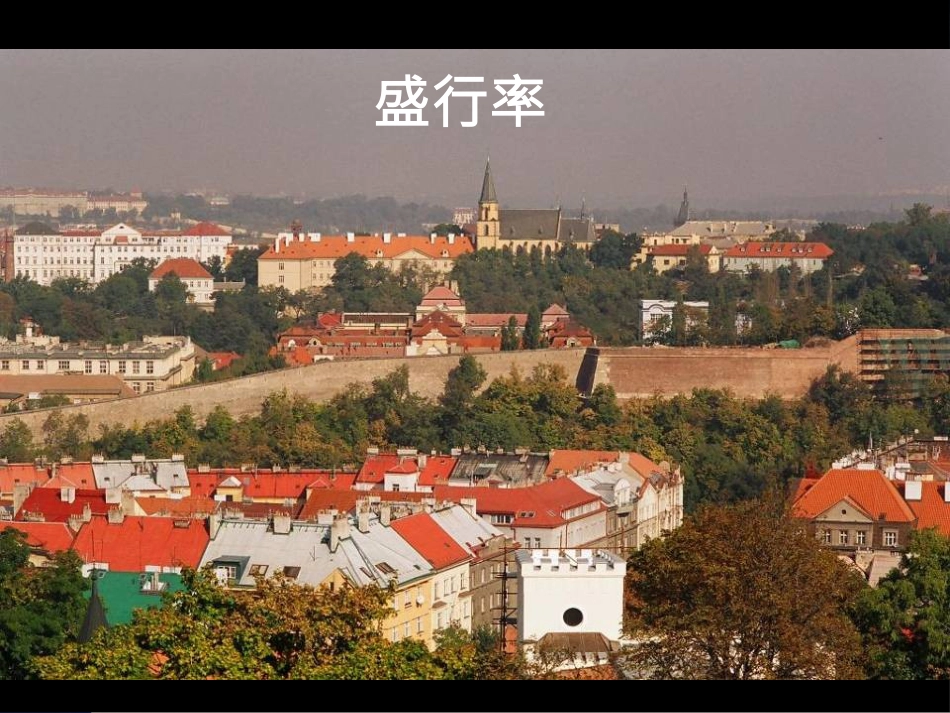 常见的身心疾病类型和诊断_第11页