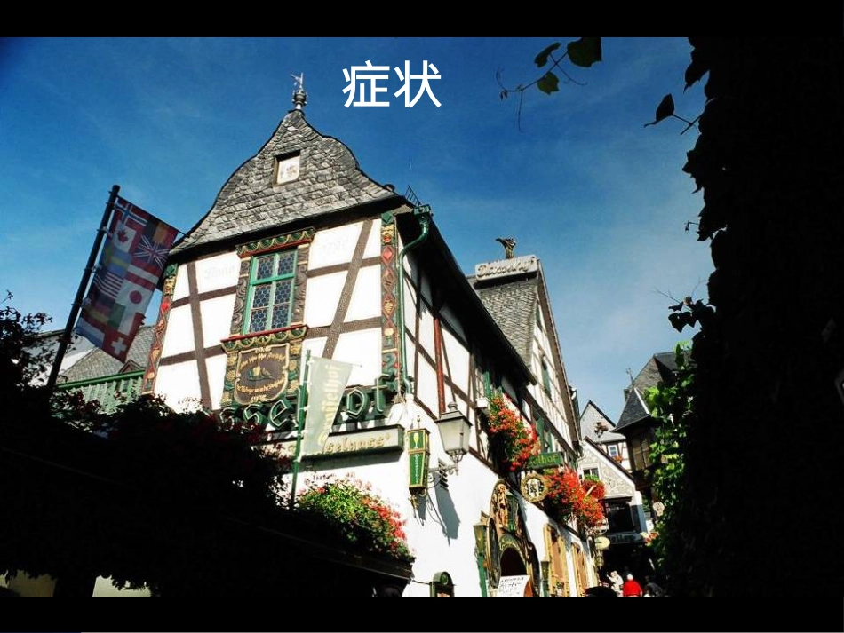 常见的身心疾病类型和诊断_第14页