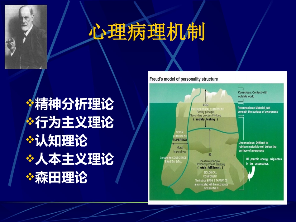 焦虑症_第13页