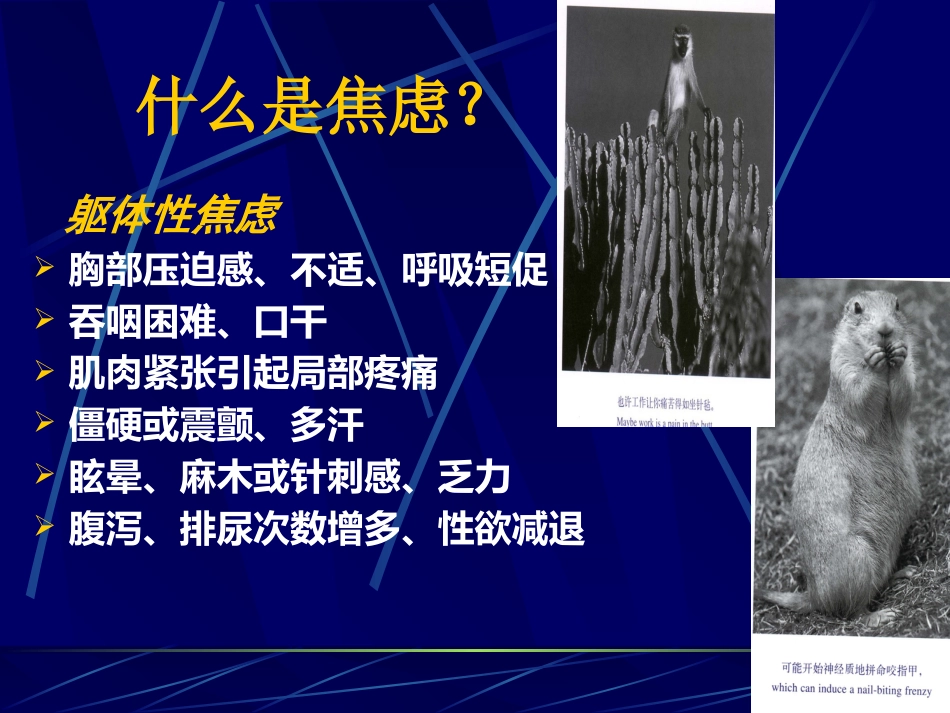 焦虑症_第7页