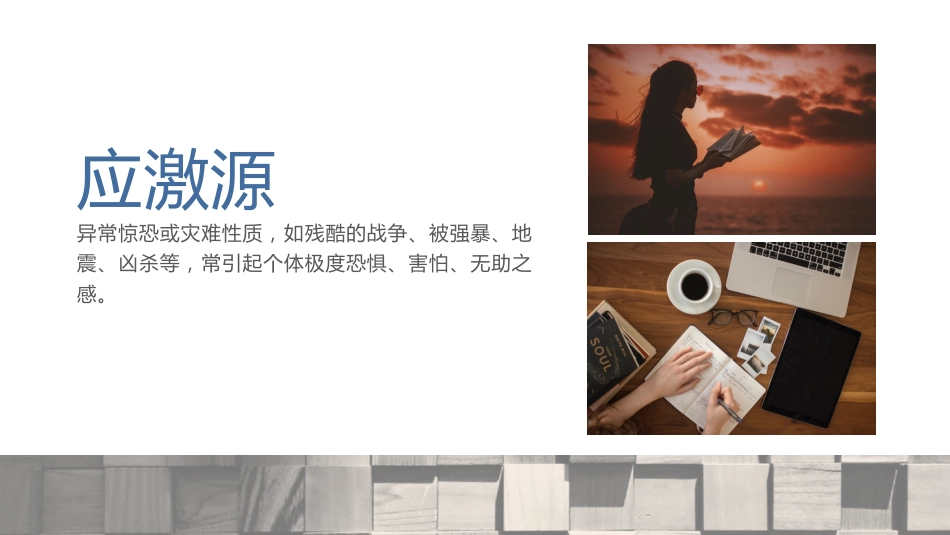 创伤后应激障碍预防及治疗_第5页