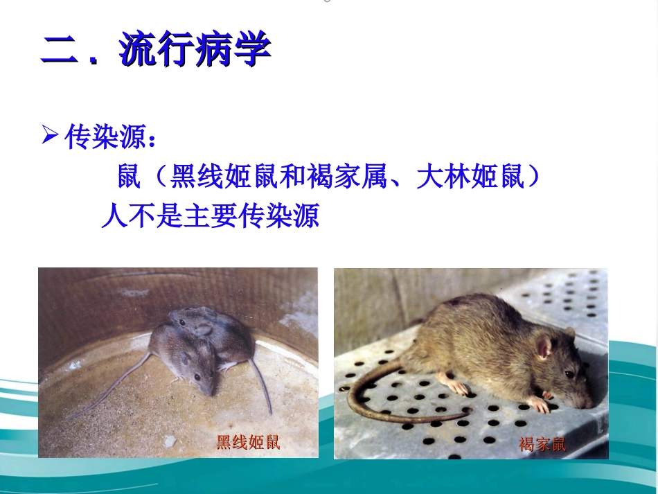 《流行性出血热ppt课件_第8页
