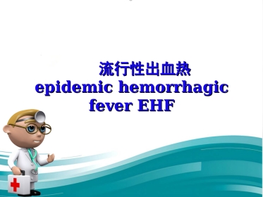 《流行性出血热ppt课件