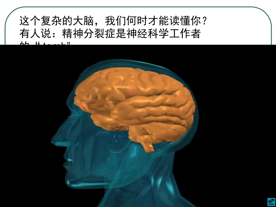 精神分裂症及其他精神病性障碍(中文)_第15页