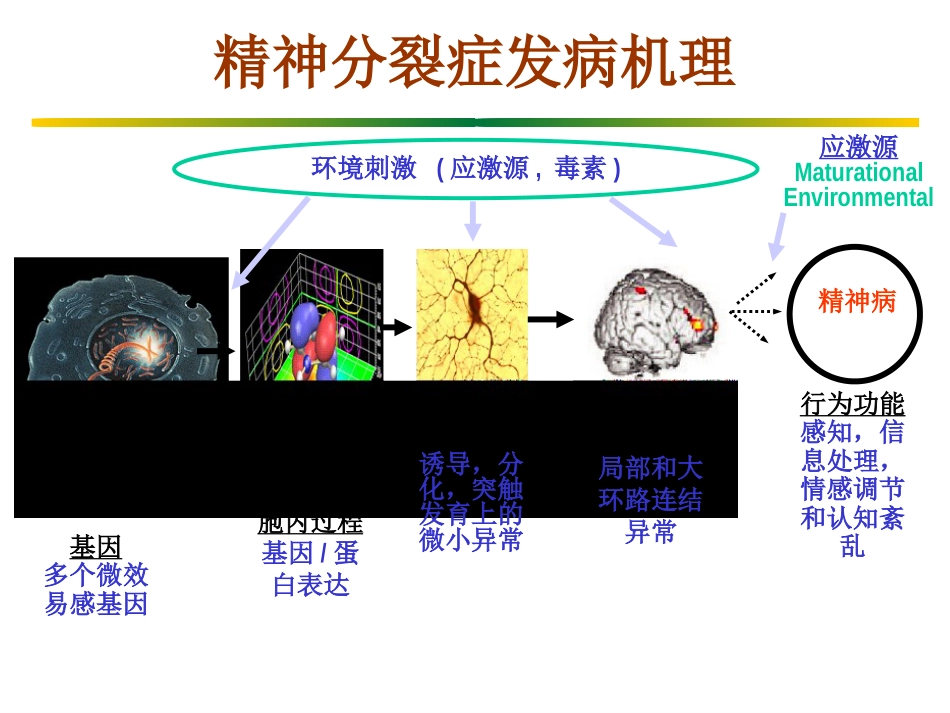 精神分裂症(1)_第14页
