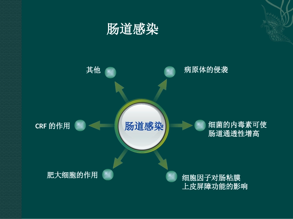肠易激综合症31页PPT_第12页
