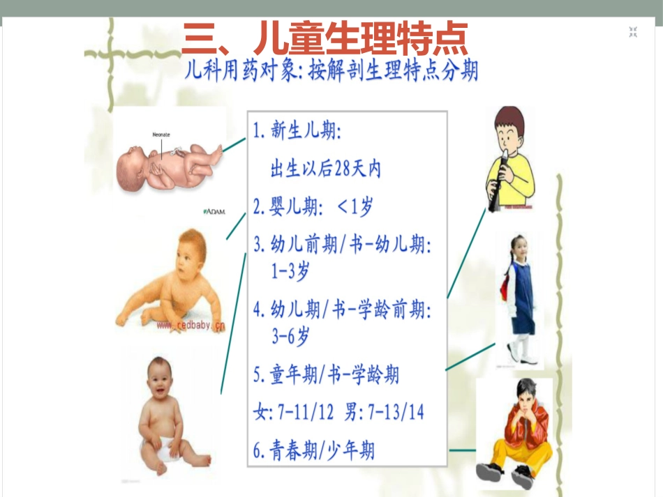 儿科用药原则_第13页
