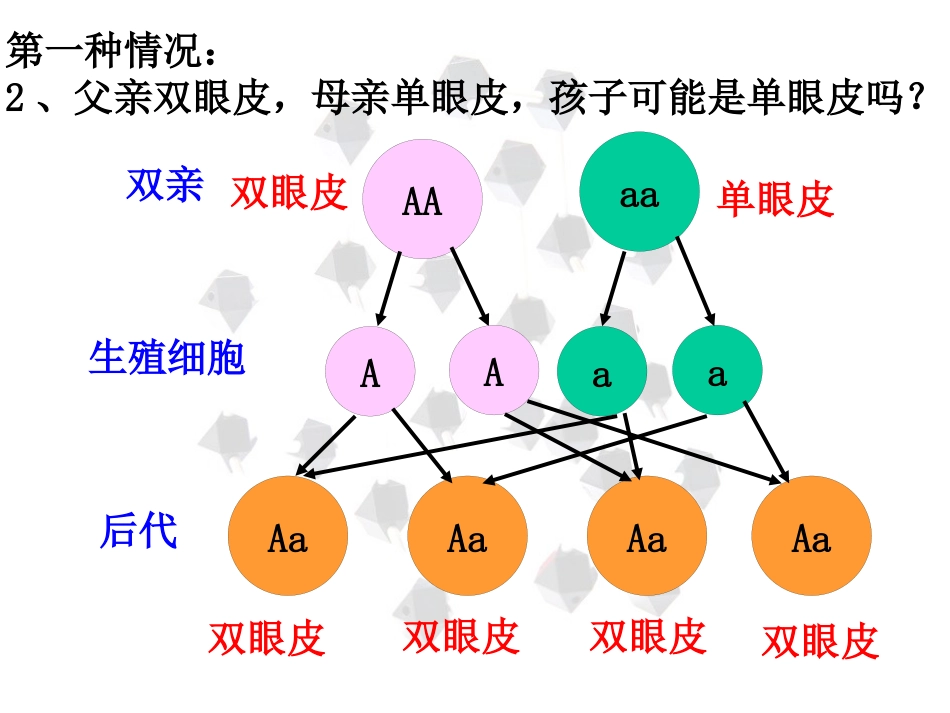 苯丙酮尿症患者苯丙酮尿症也是由于基因不正常缺少一种苯丙氨酸羟_第10页