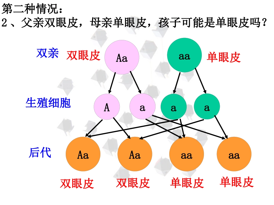 苯丙酮尿症患者苯丙酮尿症也是由于基因不正常缺少一种苯丙氨酸羟_第11页