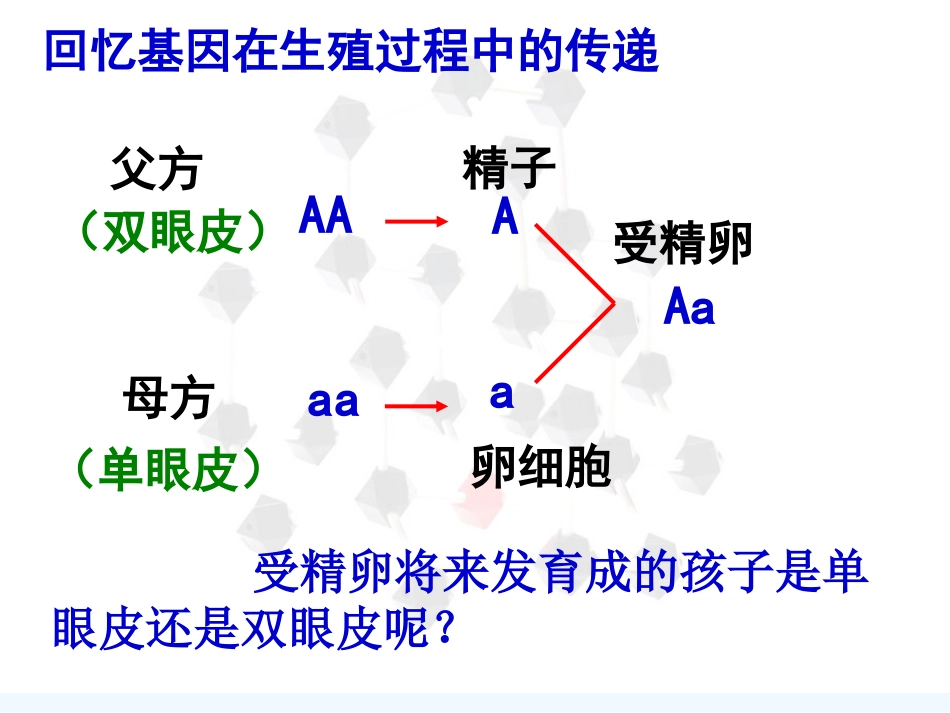 苯丙酮尿症患者苯丙酮尿症也是由于基因不正常缺少一种苯丙氨酸羟_第2页
