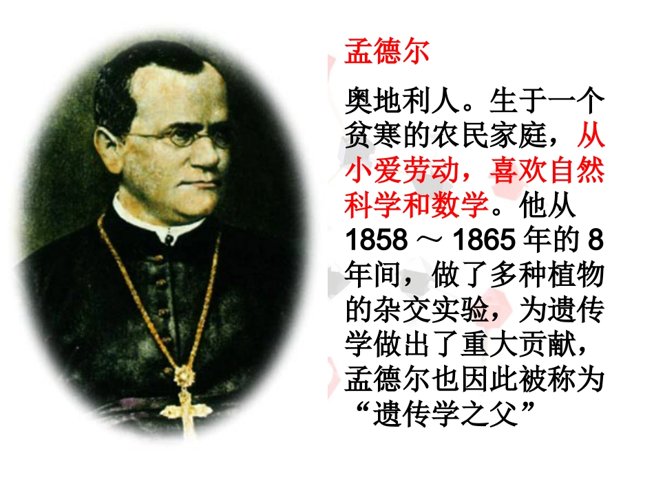 苯丙酮尿症患者苯丙酮尿症也是由于基因不正常缺少一种苯丙氨酸羟_第3页