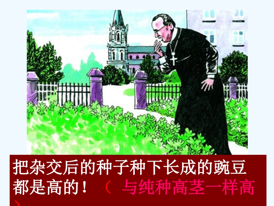 苯丙酮尿症患者苯丙酮尿症也是由于基因不正常缺少一种苯丙氨酸羟_第5页