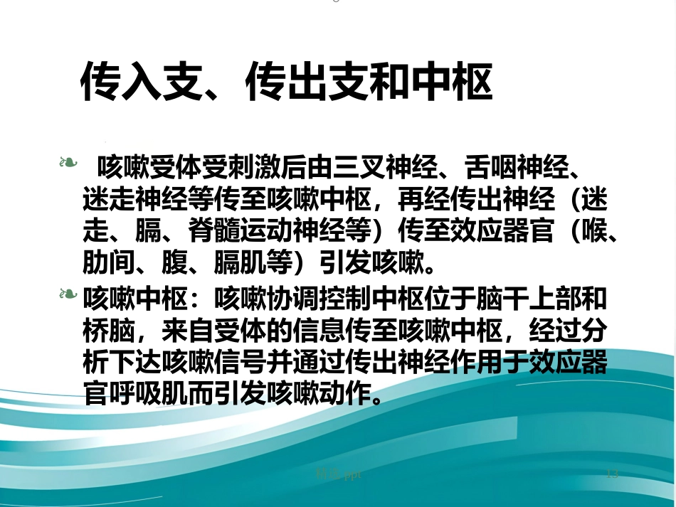 《小儿慢性咳嗽》PPT课件_第13页