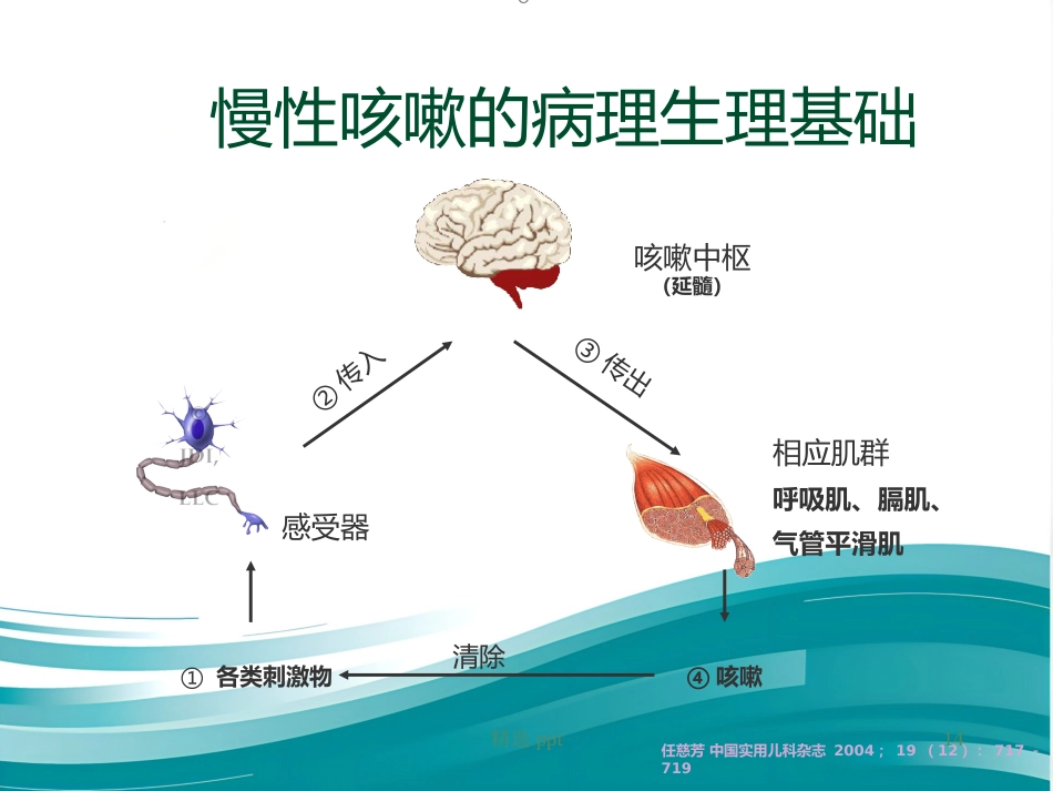 《小儿慢性咳嗽》PPT课件_第14页