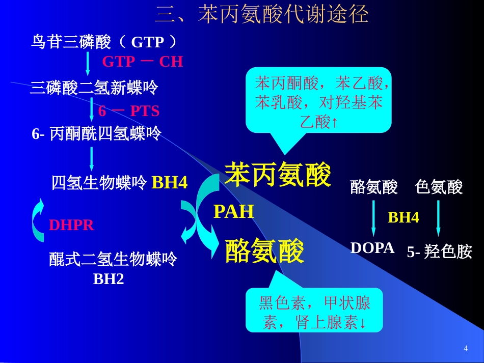 苯丙酮尿症、呆小症_第6页