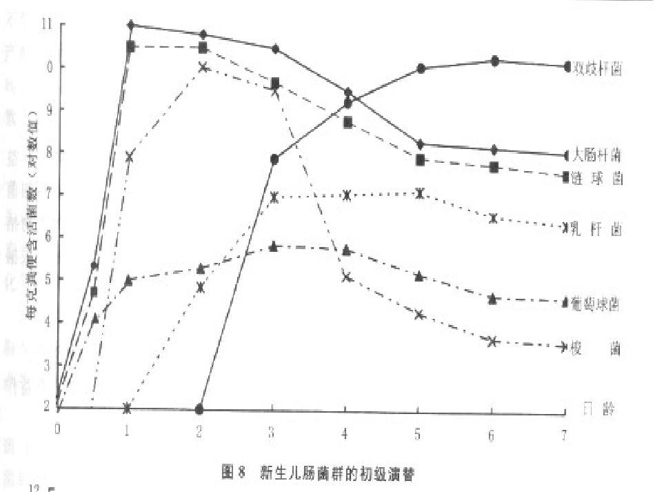 肠道微生态与儿童疾病ppt课件_第10页