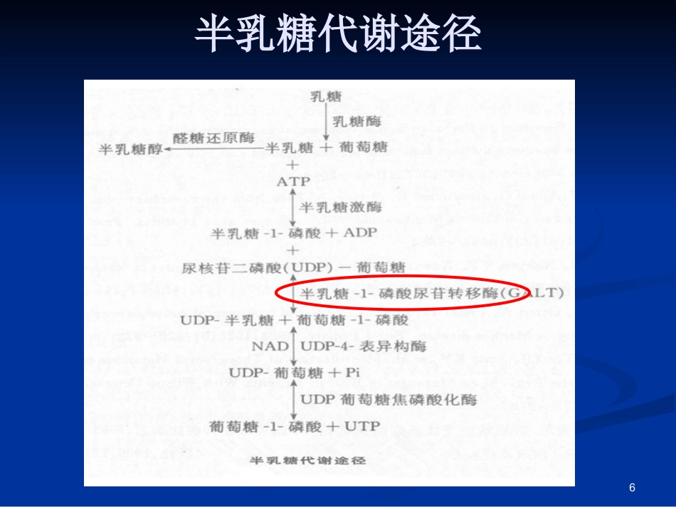 半乳糖血症的新生儿筛查与诊治_第6页