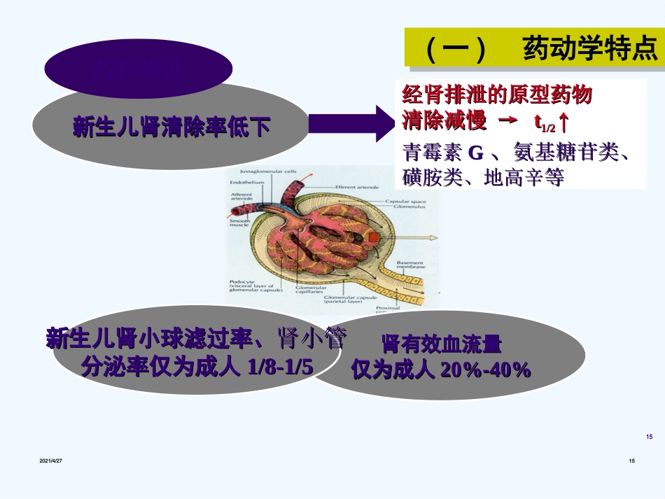 儿童用药分析_第15页